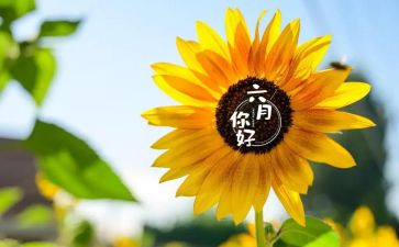 六月份月工作总结优质8篇