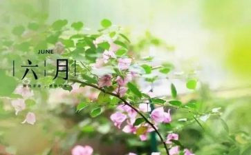 六月份月工作总结5篇