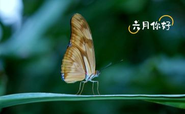 六月活动总结7篇
