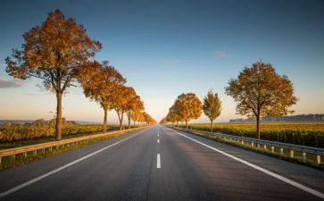 《两个小八路》读后感8篇()