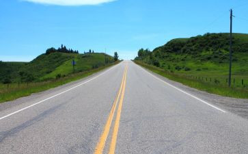 《两个小八路》读后感最新6篇(《两个小八路》：勇气与友情的绽放)