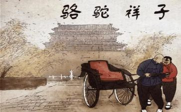 骆驼祥心得体会精选5篇