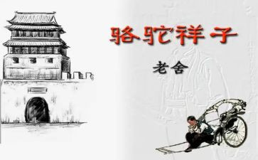 骆驼祥心得体会最新5篇