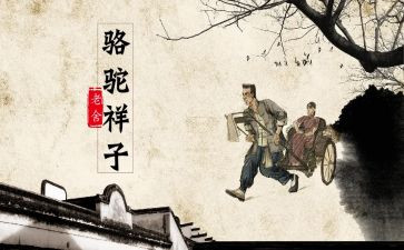 骆驼读后感600字作文5篇