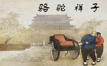 骆驼祥心得体会参考5篇