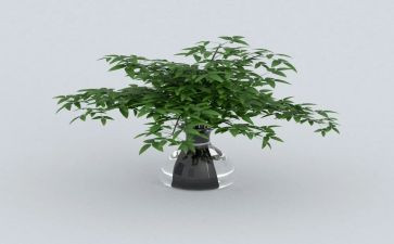 倡导低碳绿色生活倡议书参考5篇(低碳绿色生活：5篇倡议书)
