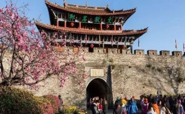 旅游毕业生自我鉴定通用8篇