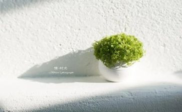 慢的话题作文推荐5篇