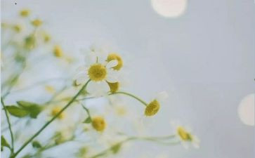 社会类满分作文8篇