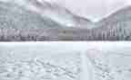 关于冬雪的作文500字通用6篇
