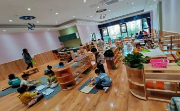 蒙氏教研总结8篇