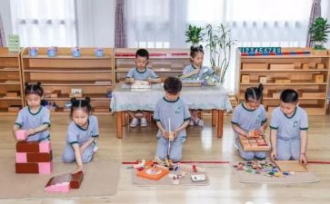 蒙氏教研总结通用6篇