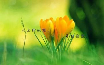 中外名人故事的读后感最新8篇