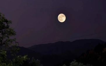 游明月山的作文6篇