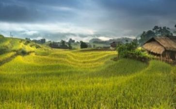 命运与态度作文5篇