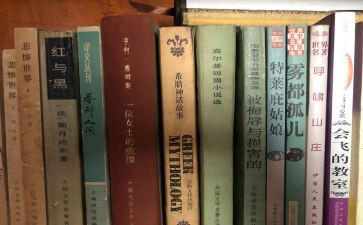 4大名著的作文5篇