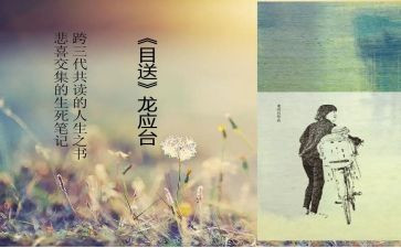 《目送》读后感800字8篇