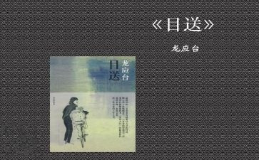 《目送》的读后感参考7篇