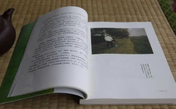 《目送》的读后感优质5篇