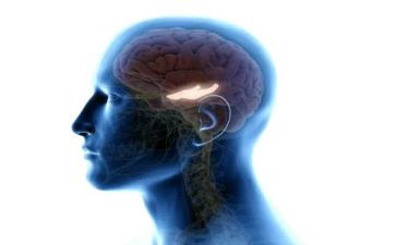 脑外科年终总结优秀6篇