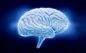 脑外科个人总结参考5篇