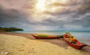 成才与逆境作文通用8篇