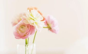 暖春电影的观后感优秀6篇