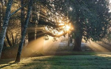 暖春电影的观后感模板6篇