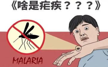 疟疾日宣传总结5篇