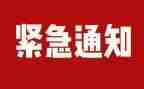 校园安全排查隐患整治工作总结7篇