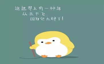 胖与瘦教案反思最新5篇