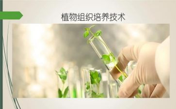 培养期工作总结优秀5篇