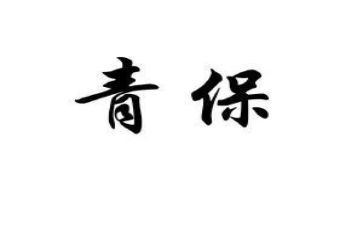 社区青保工作个人总结范文通用6篇