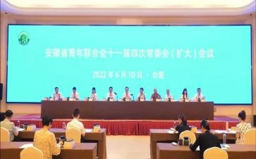 青联十三届全委会心得8篇