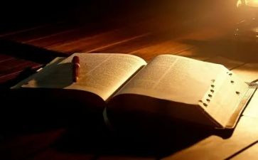 青鸟阅读后感8篇