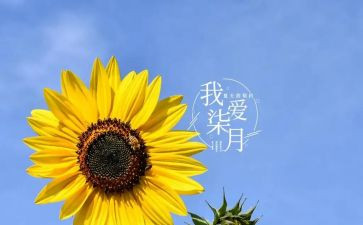 七月份工作总结7篇