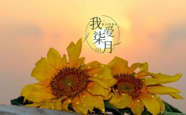 2024年七月份工作总结8篇