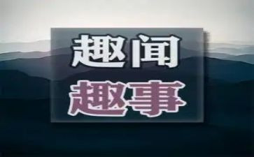 校园趣事作文400字参考8篇(