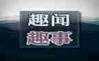 校园趣事作文400字参考8篇