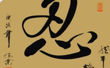 忍者观后感模板8篇