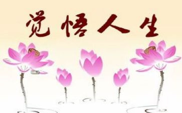 《人生》读后感5篇(《人生》五篇读后感：智慧之旅)