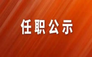任职工作总结7篇