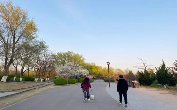 散步莫怀戚教案6篇