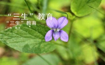 高三生物上学期工作总结5篇