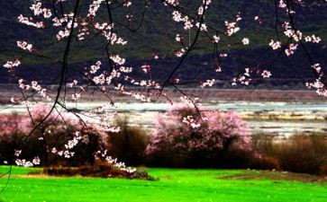 三月三的活动总结7篇