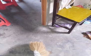 教室大扫除作文8篇(教室大扫除：美丽校园的努力)