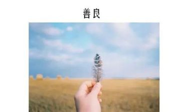2024年慈善月活动总结7篇