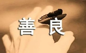 善良的心作文500字最新7篇(善良之光：感动人心的善举集锦)