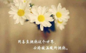 善良的心作文500字6篇(善良之心：光芒四溢的人生旅程)