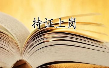 新上岗工作总结8篇